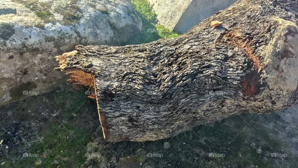 Tronco natural caído bajo el leve humo de una barbacoa