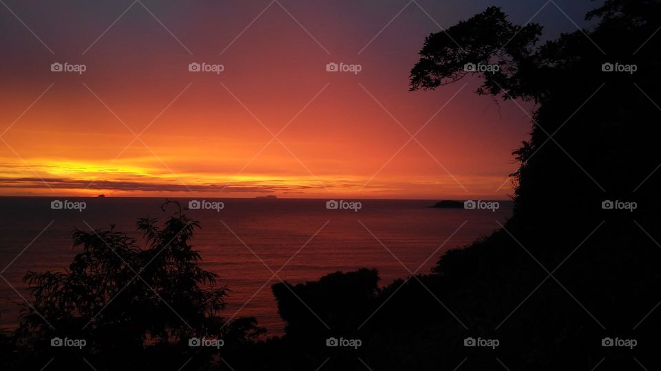 hi Sun. good morning