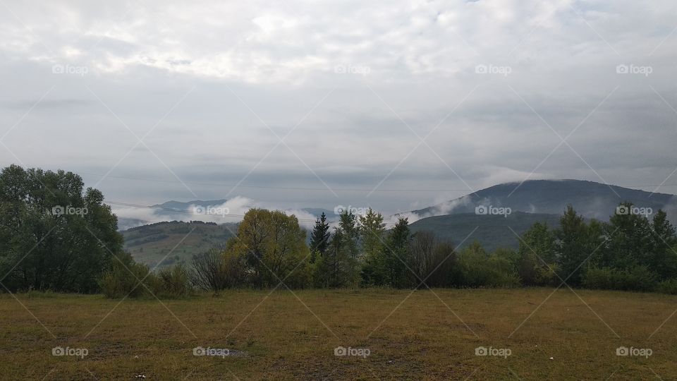 Carpathian mountains after rain, Ukraine