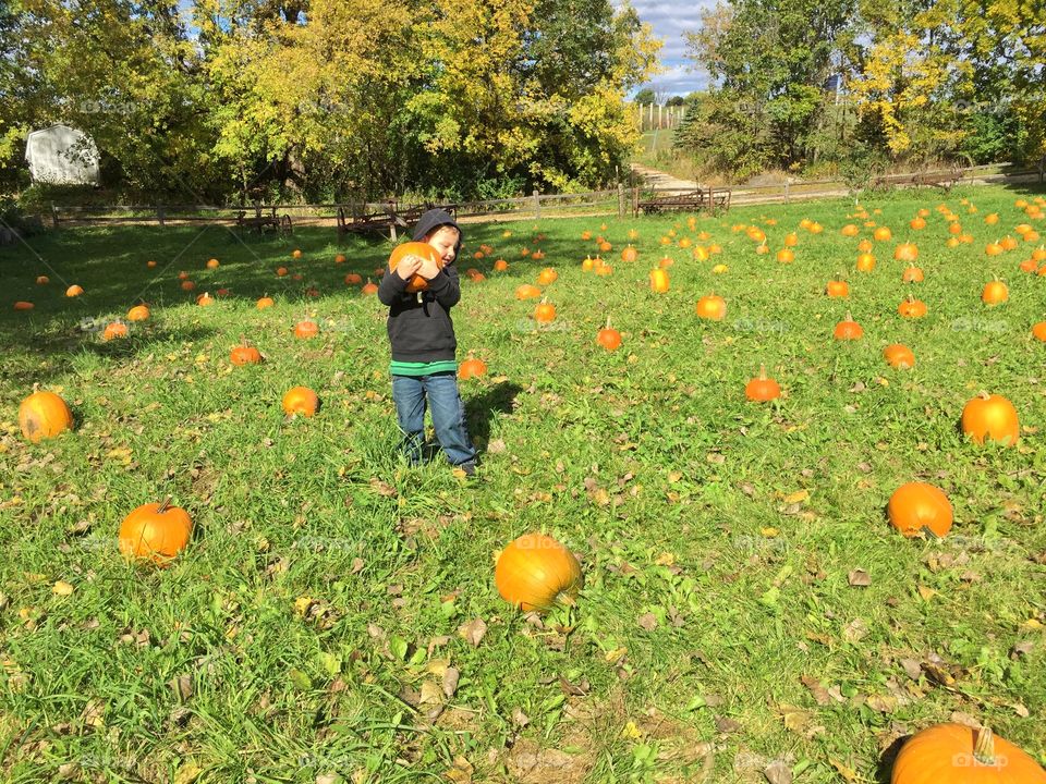 A little boy holding pumpkin on grassy field
