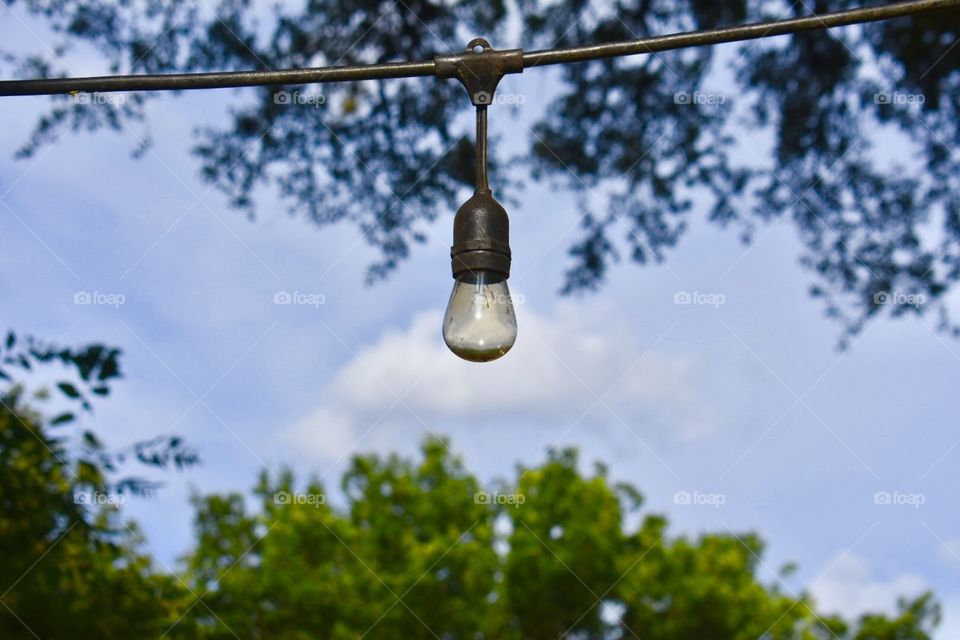 Although it is not dark outside, it is always comforting to see lights strung up that can lead your way in the dark.