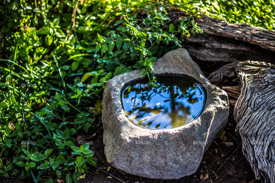 Bird bath frountain kry as ons  weer kla