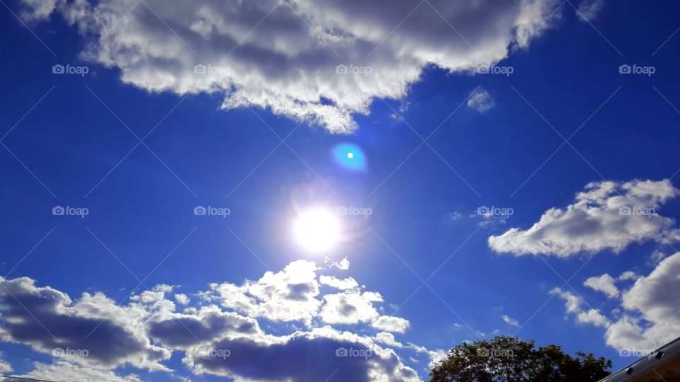 Beaming sun in the bright blue sky with fluffy clouds, right in my backyard.
