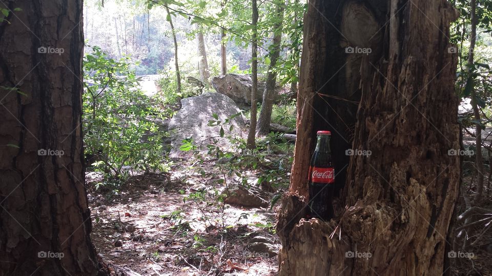 A shady spot at the camp site for the coke