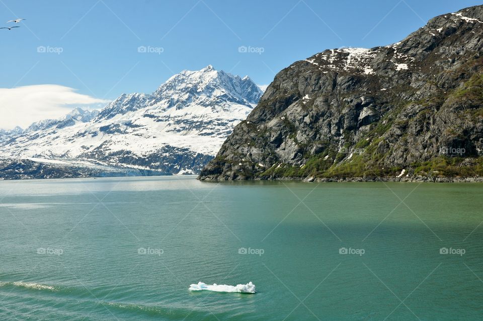 Iceberg floating on water