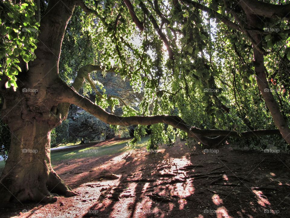 In the park