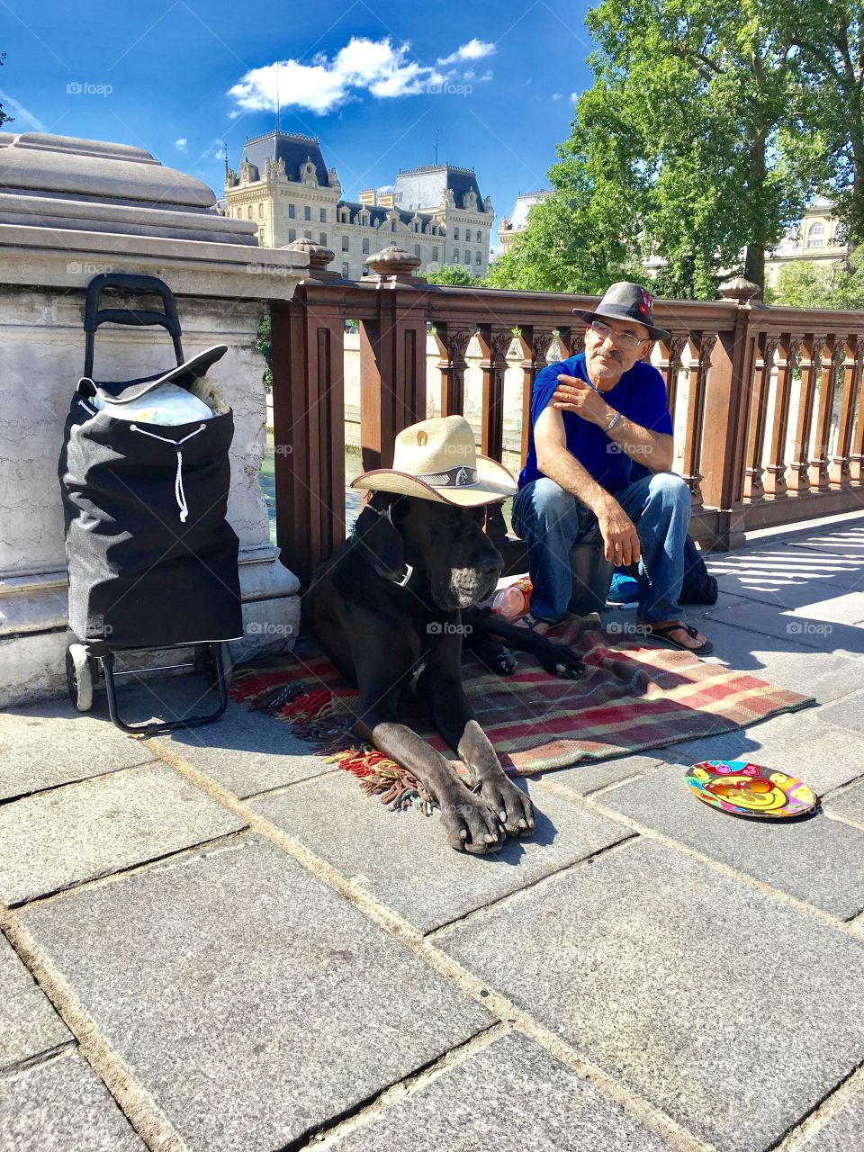 Paris dog