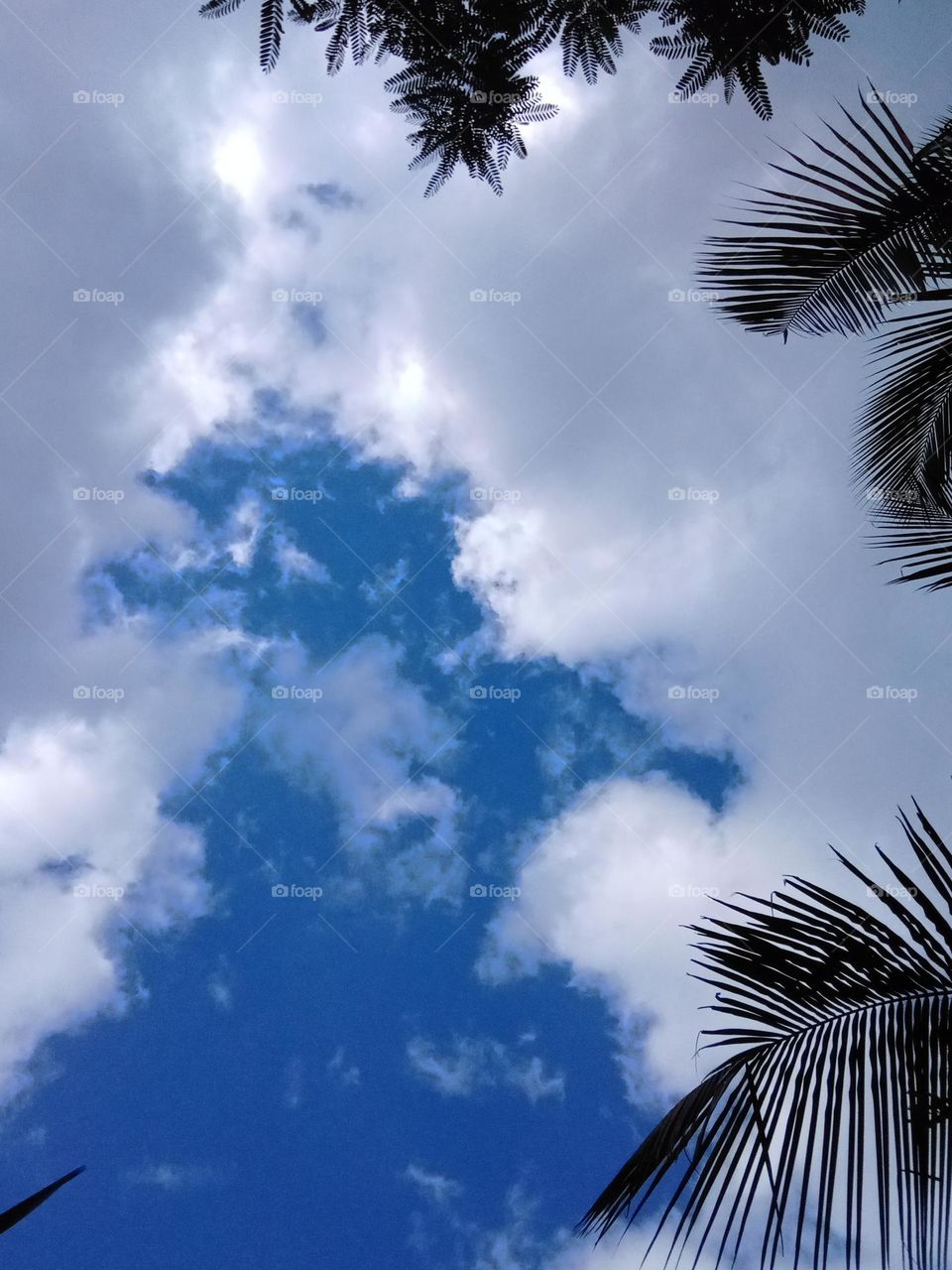 Sky