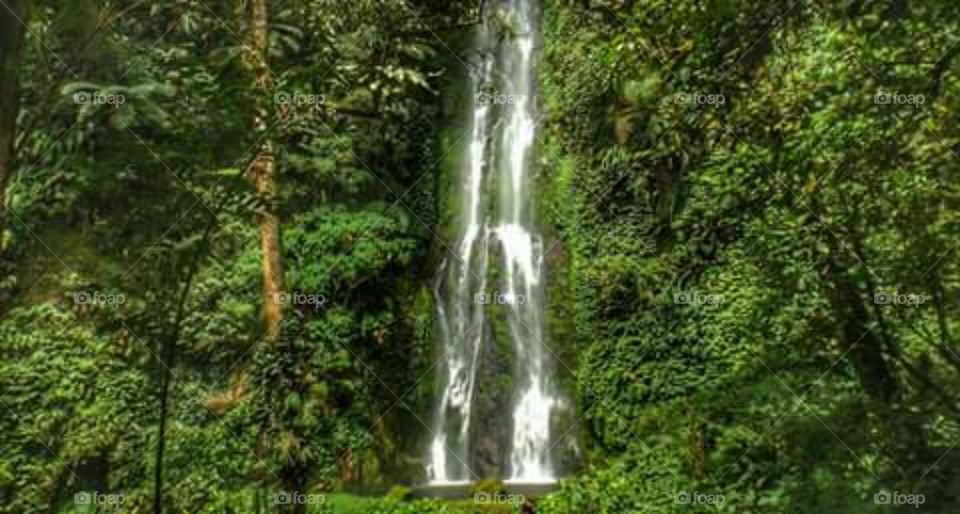 The beautiful waterfall in the Philippine part of southern Mindanao.