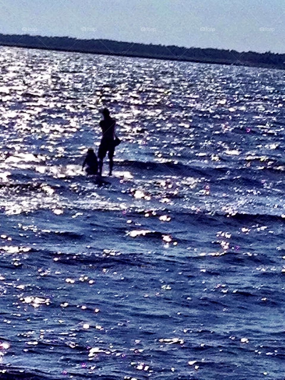 Paddle board safari