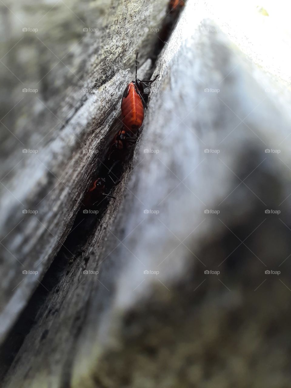 texture od the world