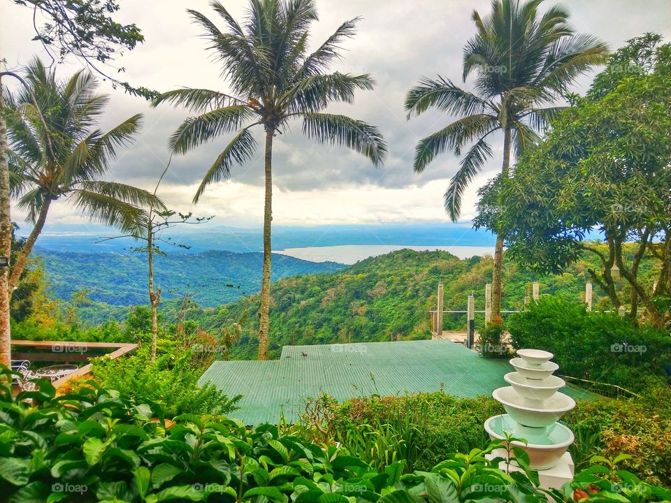 view from bag of beans