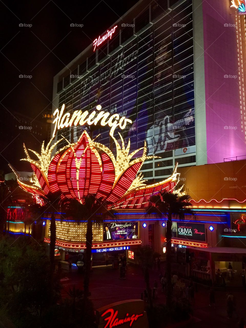 Flamingo Casino, Las Vegas