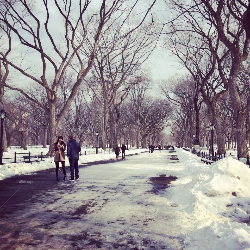 Central Park, NYC, winter