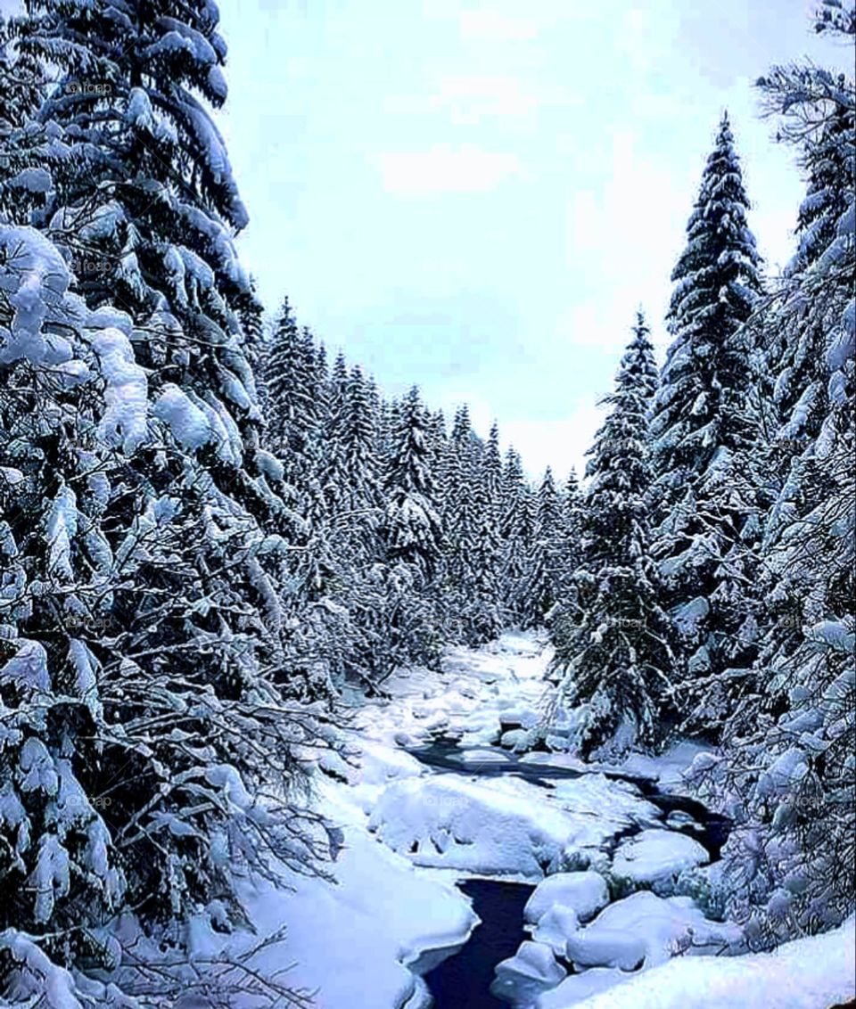 Winter landscape. The river is partially covered with ice. Along the icy River there are trees covered with a thick layer of white snow. In a place where the river is not frozen, dark blue water is visible.