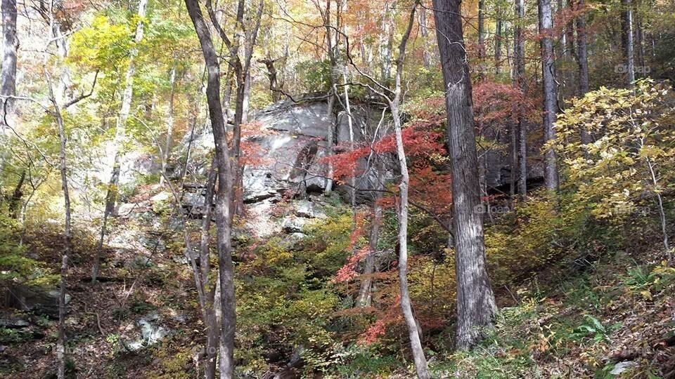 Rock Face Mountain Side