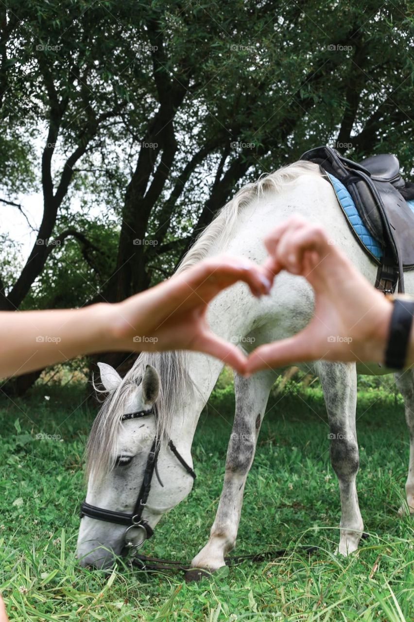 The horse needs to be educated. Be in love. And only then will she serve faithfully and faithfully.