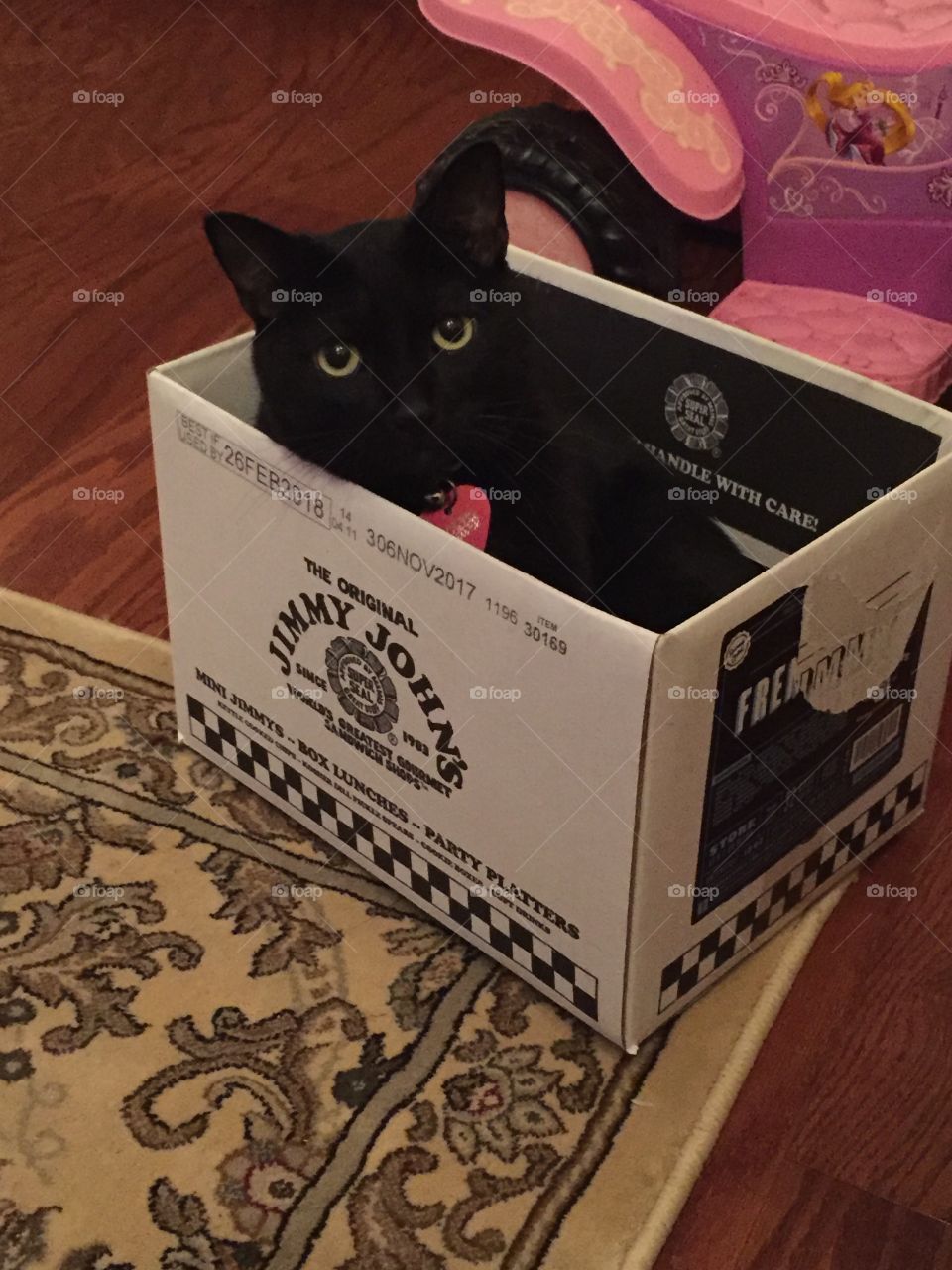 Cat-in-the-box.