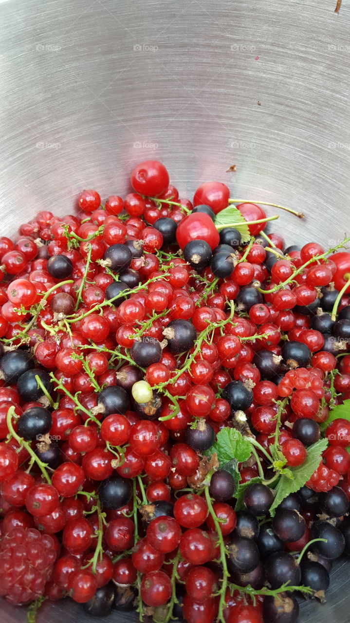 berries. own harvest