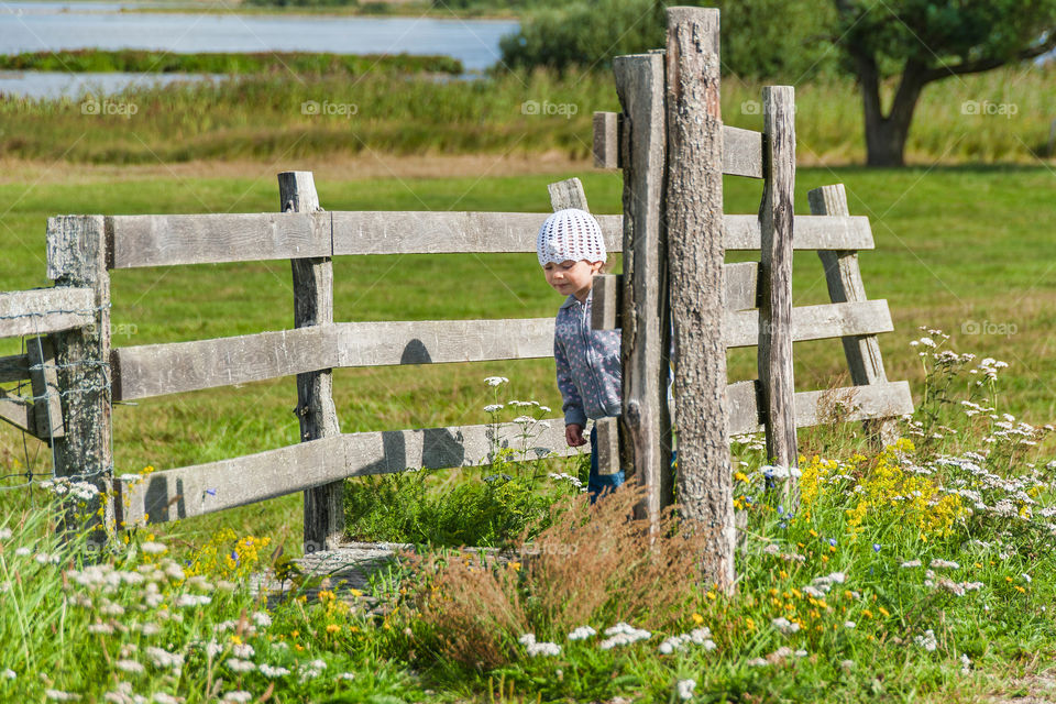 Little girl exploring wildflowers in a meadow.