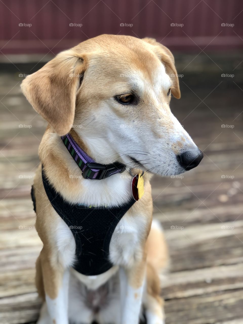 All dressed and ready to go