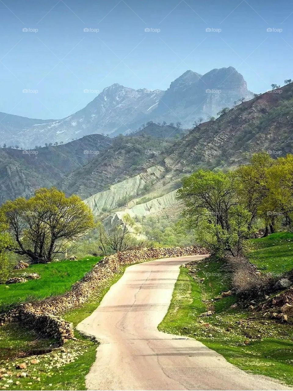 Walking through this road and enjoy the beauty of the nature