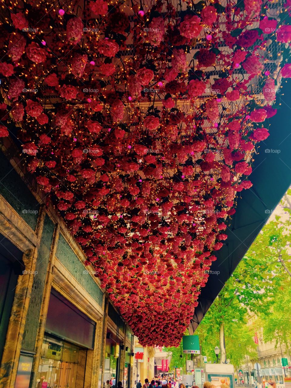 Roof of flowers