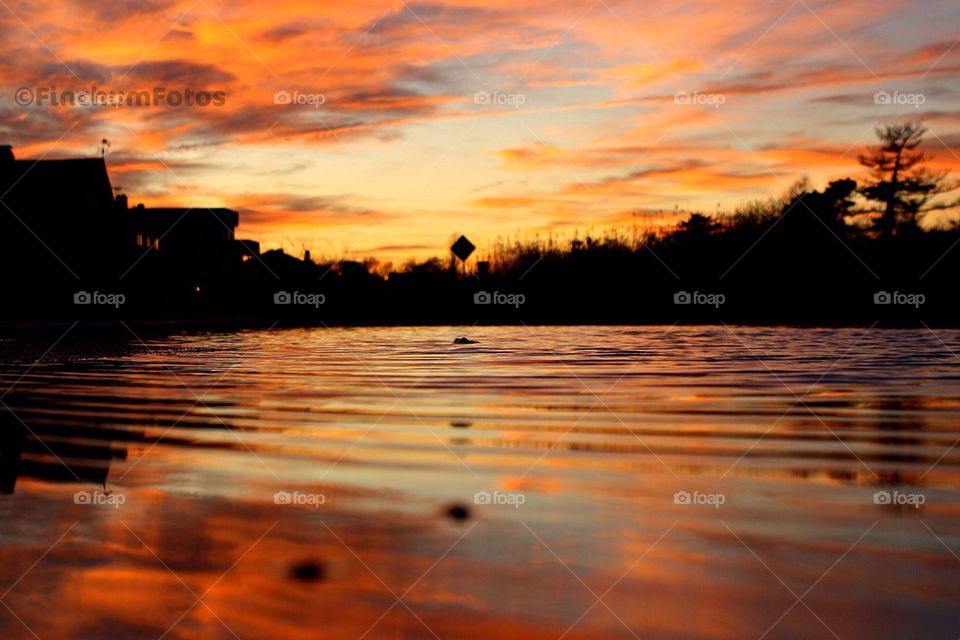 Sunset Puddle Reflection