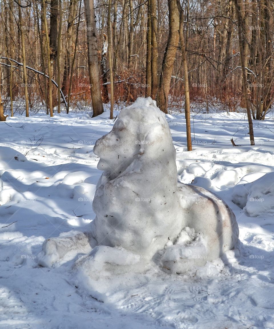 Snow sphinx
