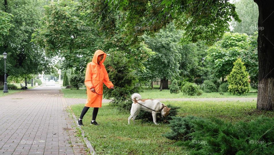 woman walking the dog in rainy day