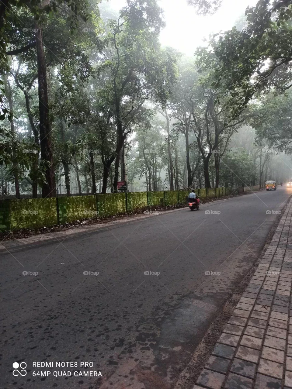 NILAMBUR part
