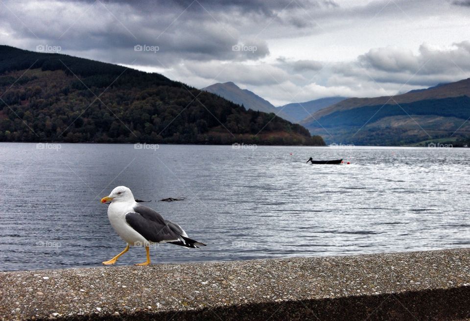 Inverary, Scotland 