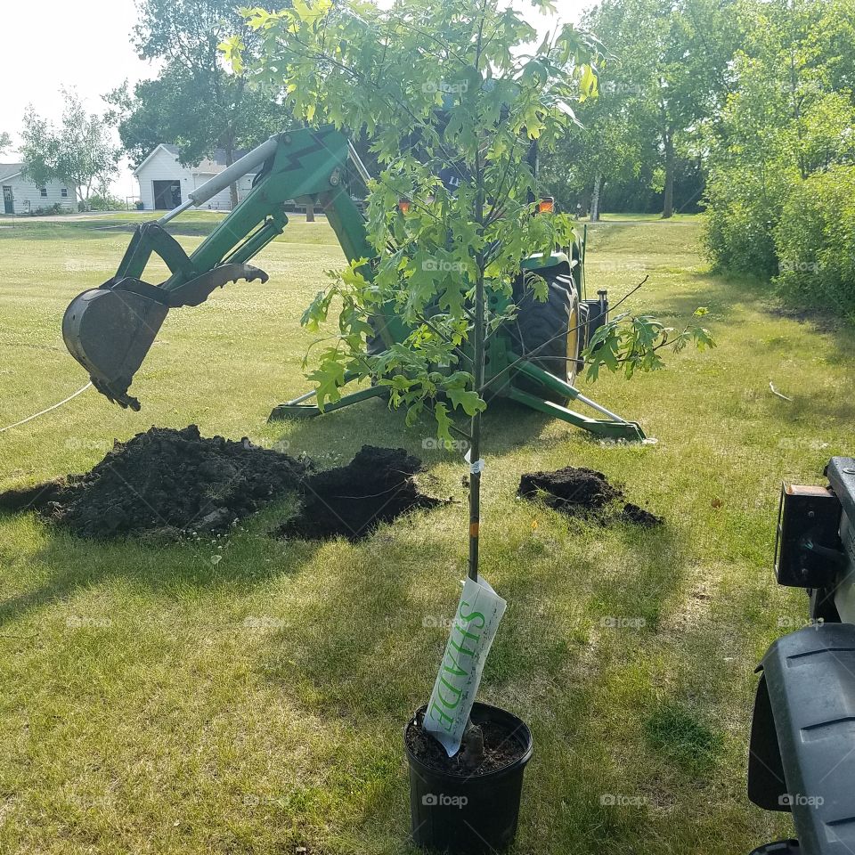 bringing our purpose to life