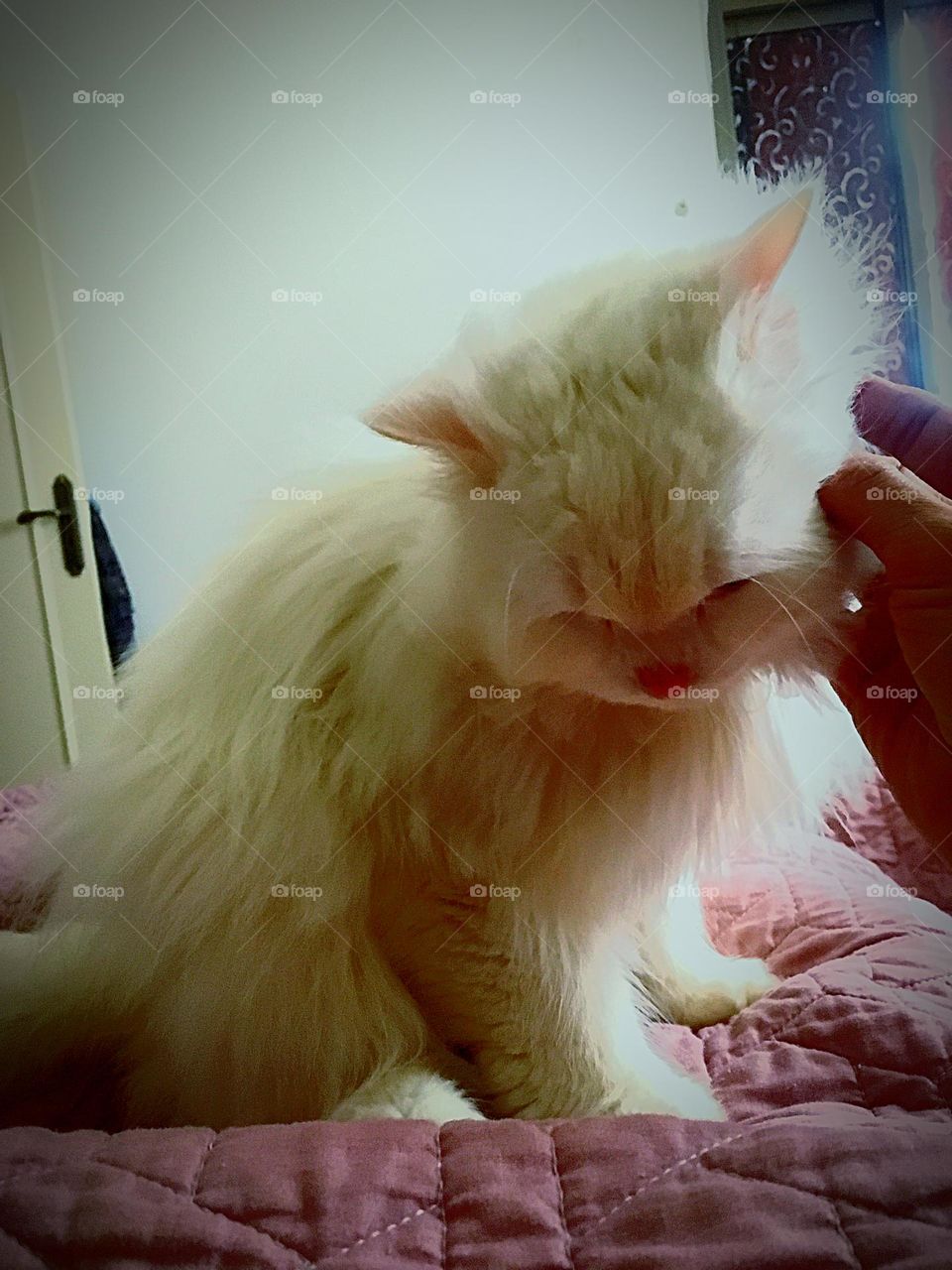 Need kind touch hand