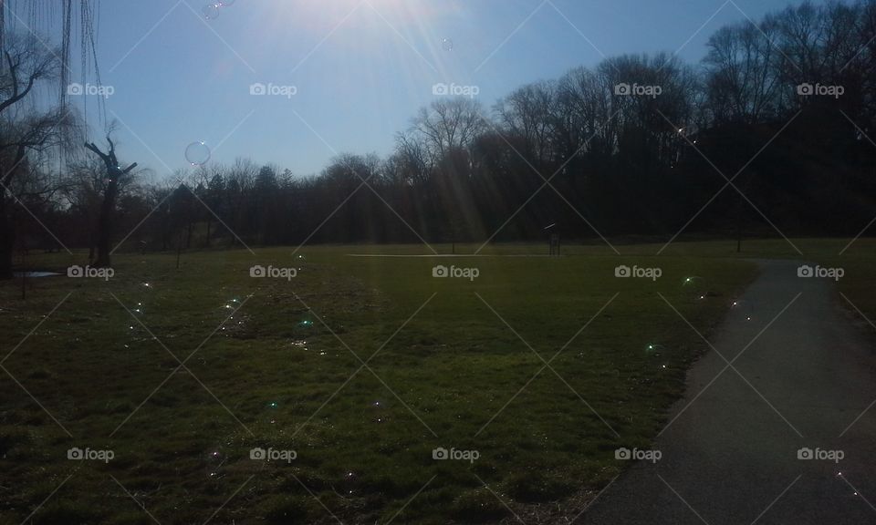 bubbles in park sunlight shining down onto grass with tree background