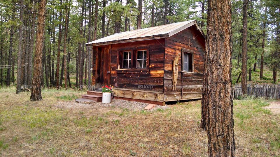 Country Cabin