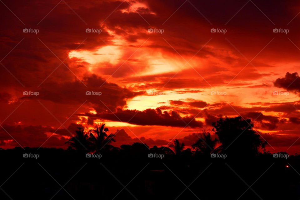 A dramatic sunset sky is filled with deep red and orange hues, with silhouettes of palm trees and other foliage in the foreground. The clouds appear thick and vibrant, creating a stunning contrast with the dark landscape below.