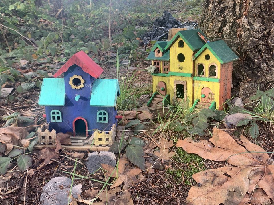 Colourful Birdhouses Put out in the Forest for Our Avian Friends in the Wild 