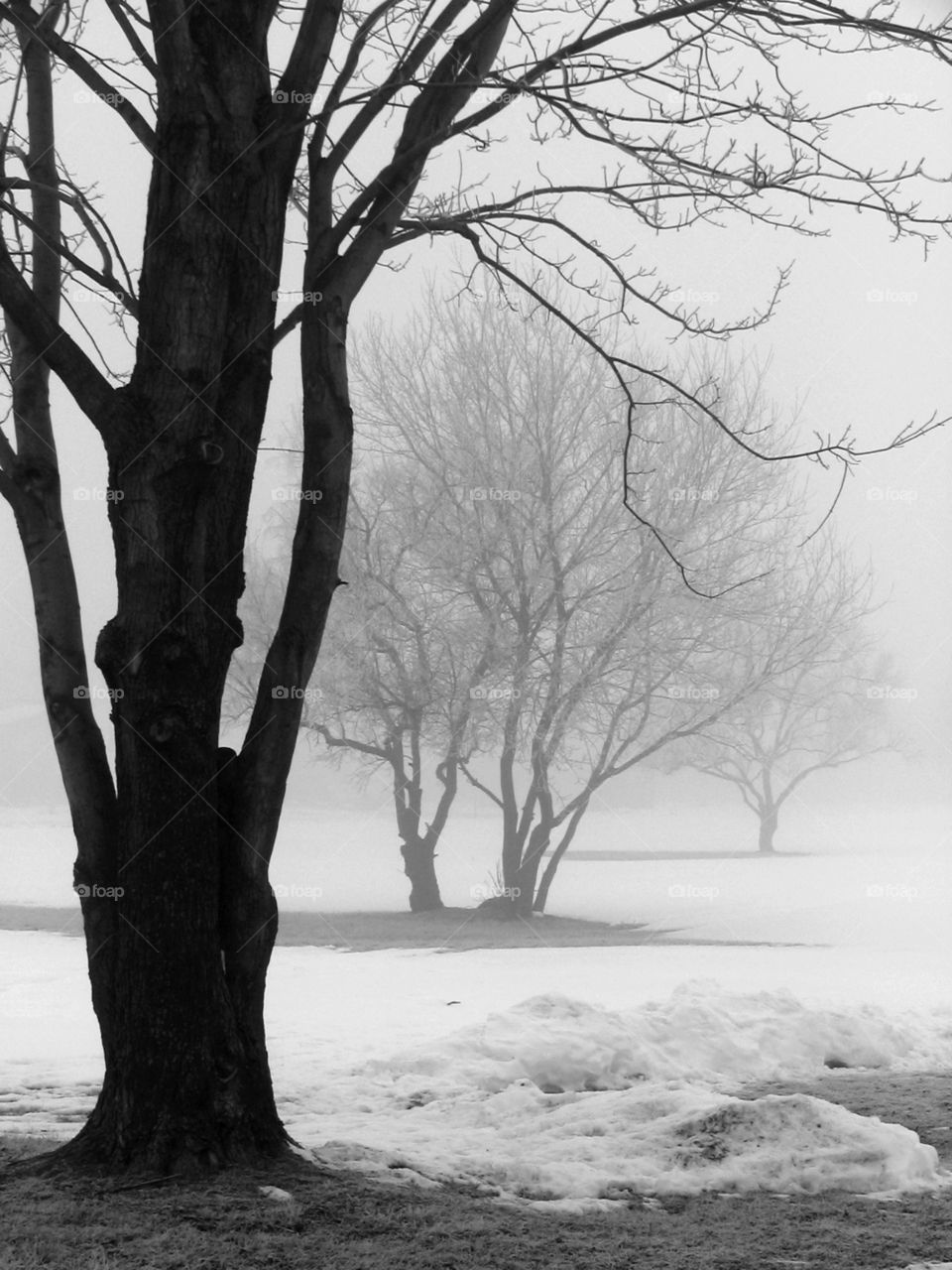 Flow. Park in the snow