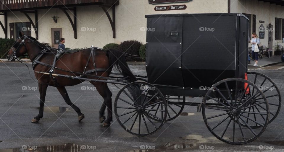 Amish Carriage