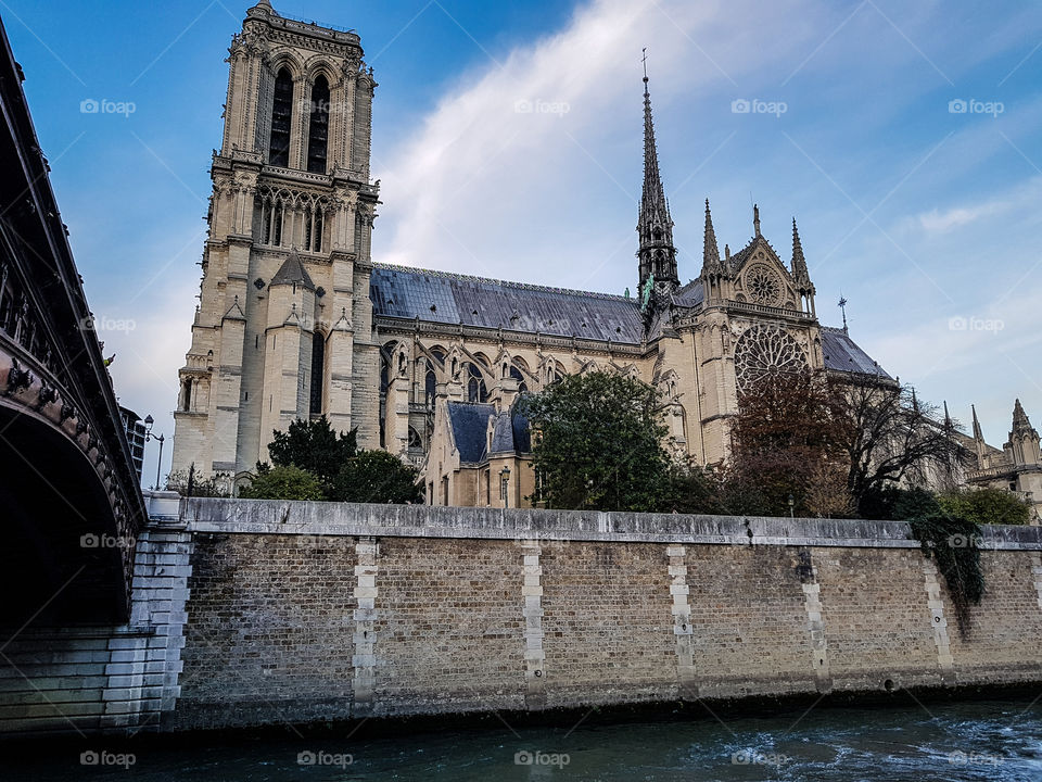 Notre dame de Paris