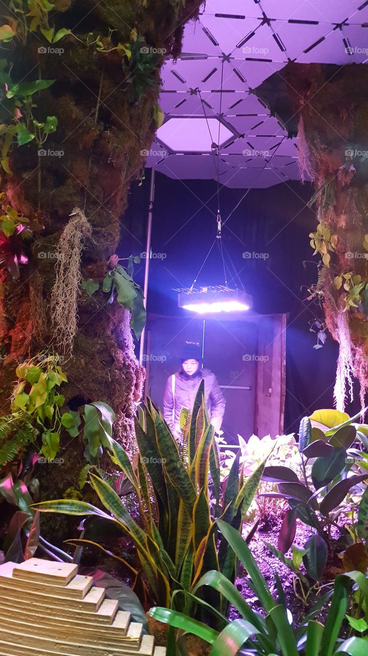 hanging plants in planned underground park