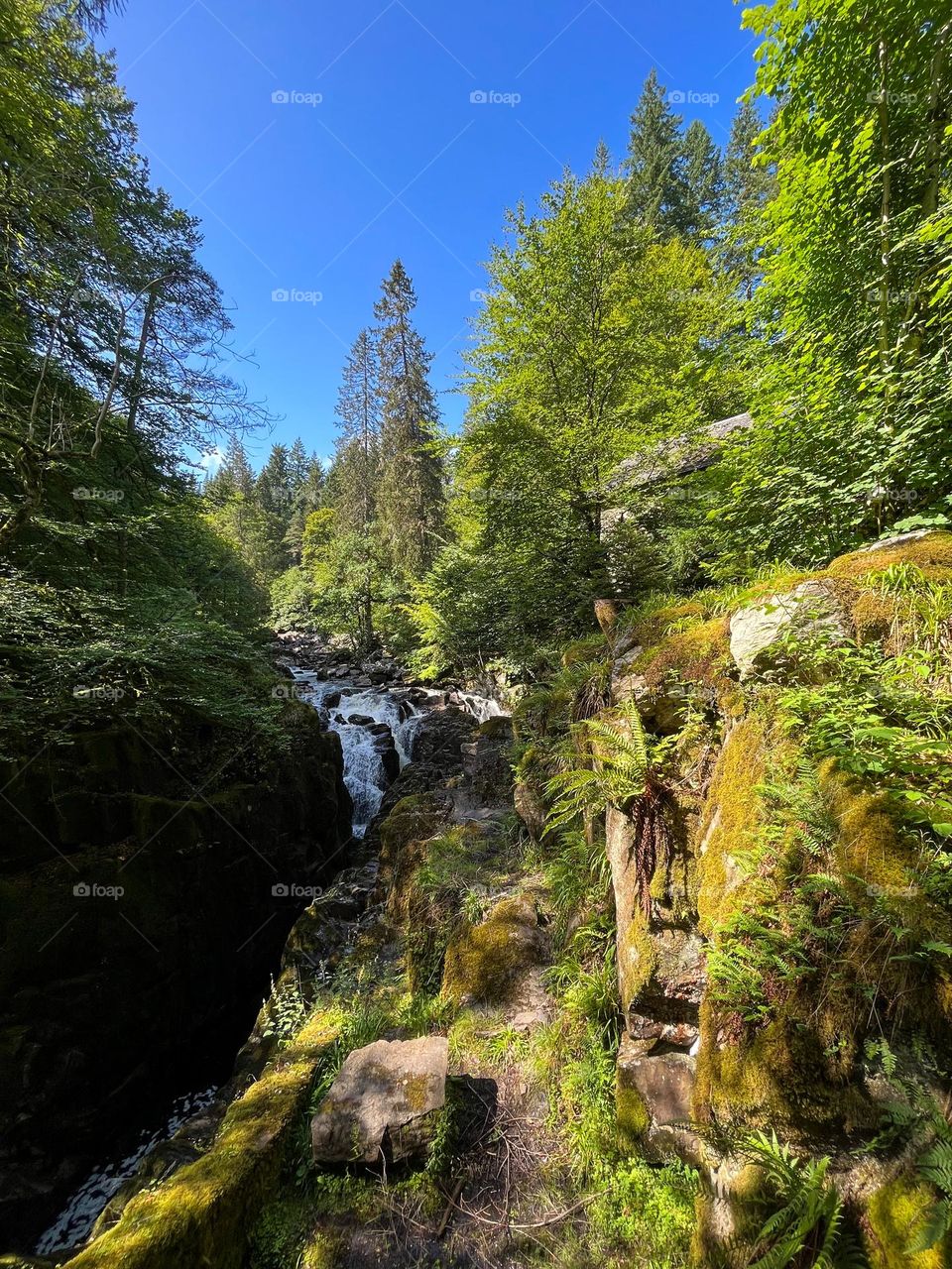 Hermitage walk, Dunkeld, Scotland highlands