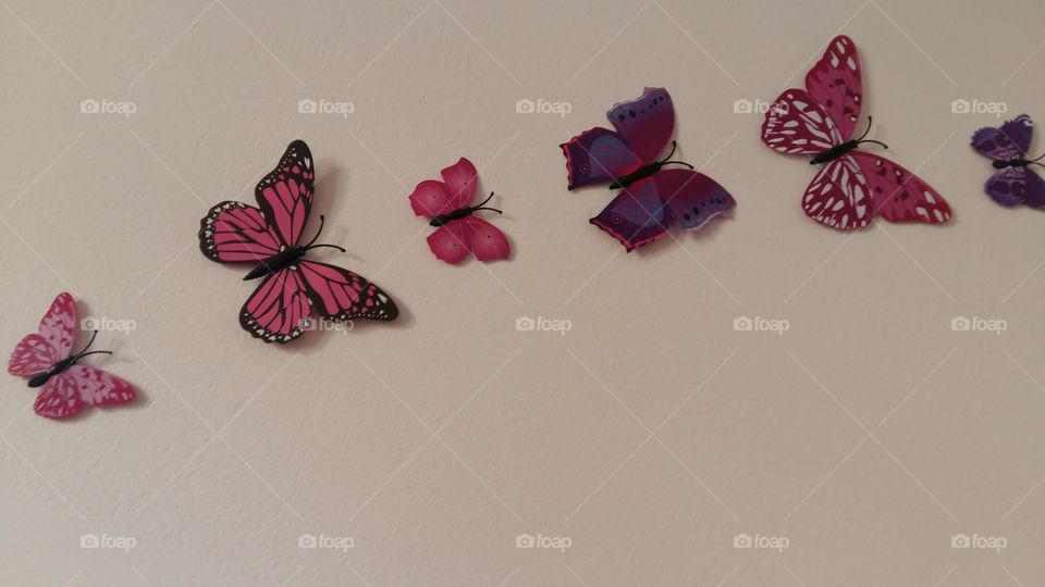 Butterflies on a Wall