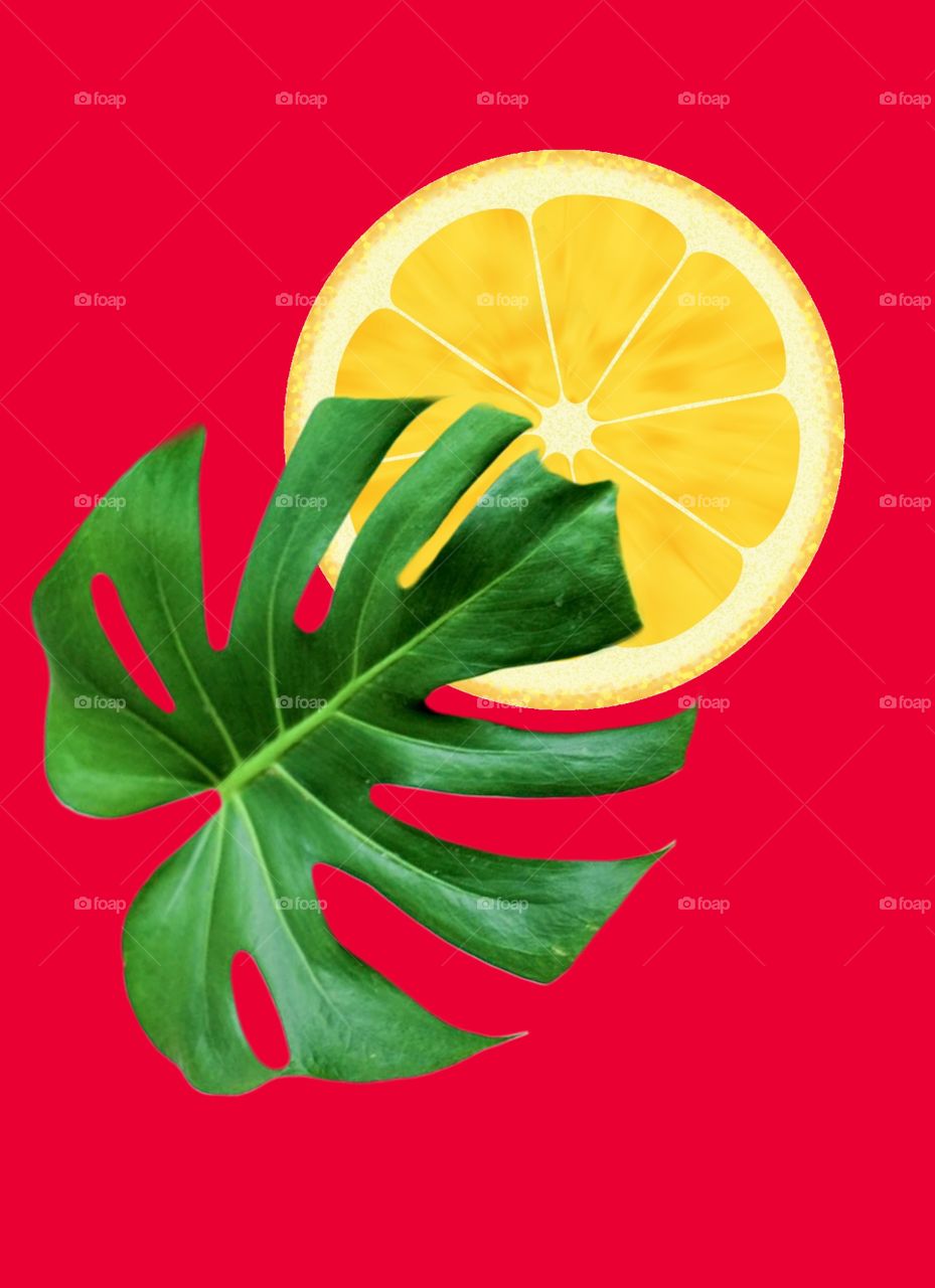 Monstera leaf and lemon