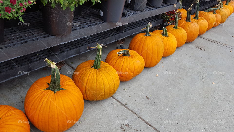 Pumpkins