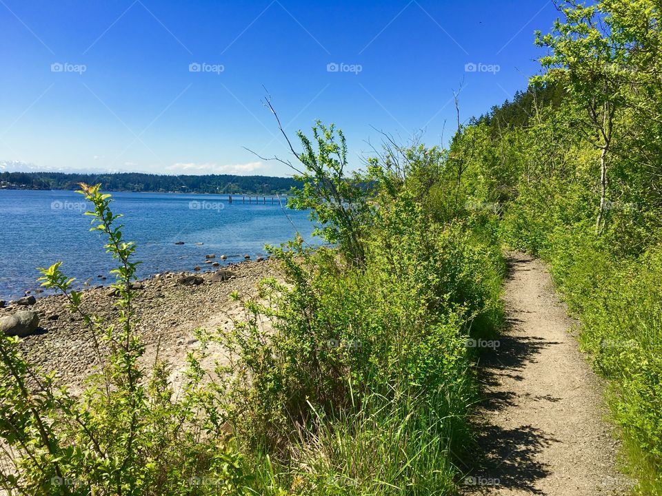 Island Trail in Puget Sound