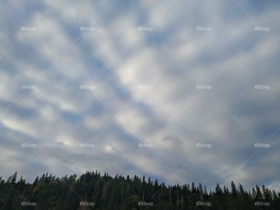 Beautiful morning clouds