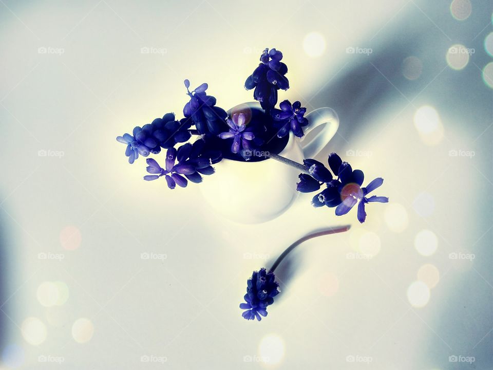 flower arrangement muscari in a small jug