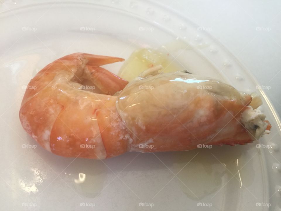 Shrimp 